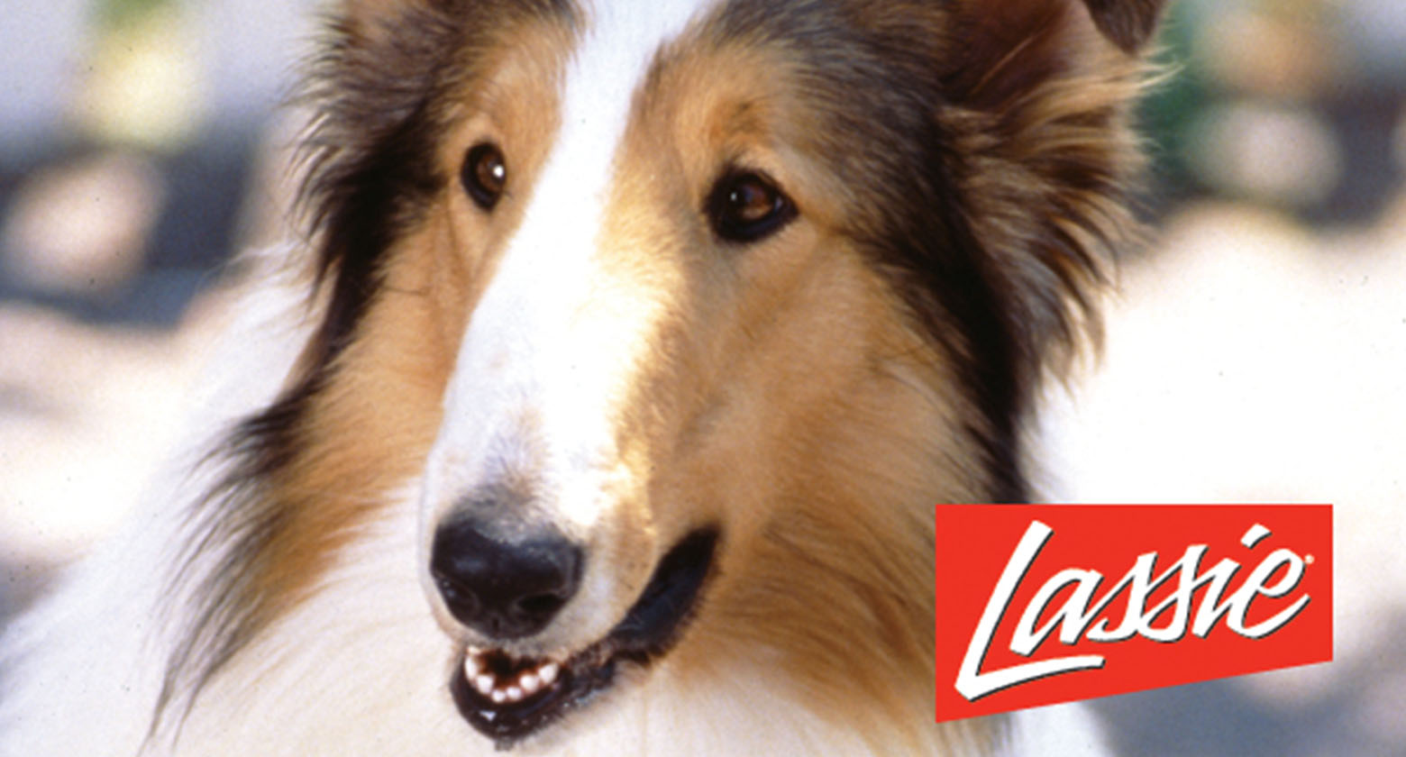Lassie
